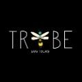 tribebustours