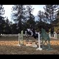 eventing.gracie