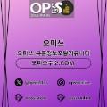 세종오피오피.CLUB세종OP