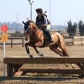 Lyancey37