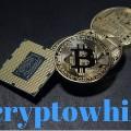 CryptoWhile