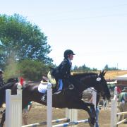 jumper50