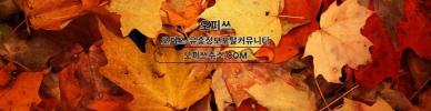 대전오피오피사이트.NET대전OP