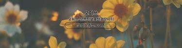 강동오피오피사이트.NET강동OP