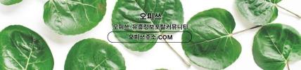 신촌오피오피사이트.NET신촌OP