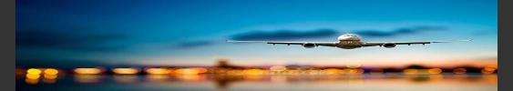 vipliveryservice