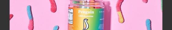 penguinwellness