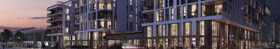 theparadisegroup