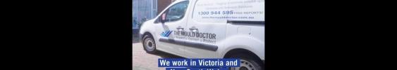 Moulddoctor11