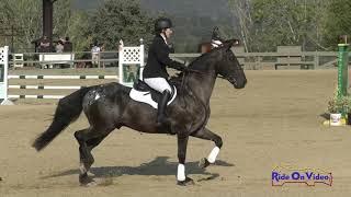 150S Shelby Jones on California King SR Novice Show Jumping Woodside August 2021