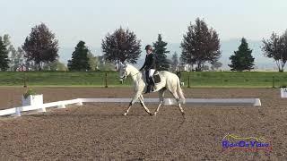 214D Alyssa Cairo on Paddington Novice Rider Championship Dressage AEC's August 2022