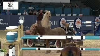 Ride On Video Live