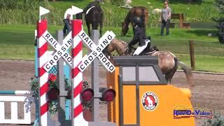 485S Collins Zgutowicz on Justin Time Open Beginner Novice Show Jumping AEC August 2022