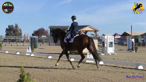 CIC2* Dressage Woodside October 2018