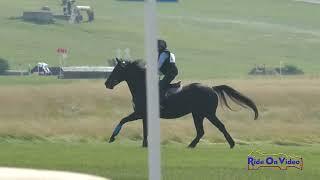 419XC Laurie Powell on Wellington Romance Open Novice Cross Country AEC August 2022